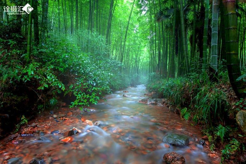 【红网时刻】茶陵县全民健身大拜年暨2024年迎新春登山赛顺利开赛